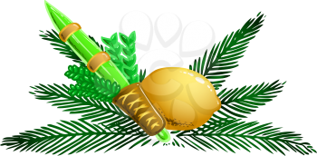 Vector illustration of the four species for Sukkot Jewish holiday.