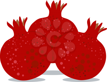 Vector illustration coloring page of Pomegranates for Rosh Hashanah the Jewish New Year.