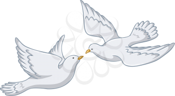 Vector illustration of two white pigeons flying together.