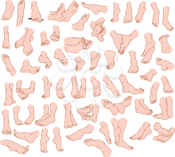Royalty Free Clipart Image of a Human Foot Collection