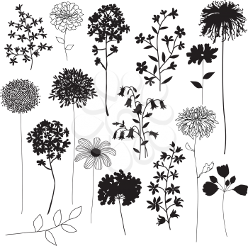 Wildflowers Clipart