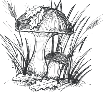 hand drawn, cartoon, sketch illustration of mushroom