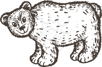 hand drawn, cartoon, sketch illustration of brown bear
