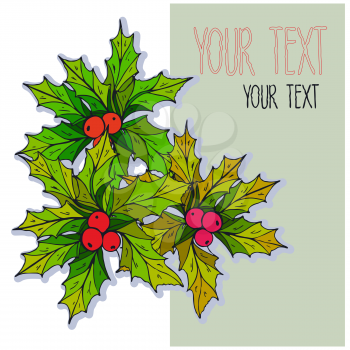 Vector graphic, artistic, stylized image of Christmas Mistletoe - Illustration