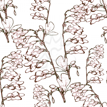 Vector graphics, artistic, stylized image of a seamless pattern with berries of barberry
