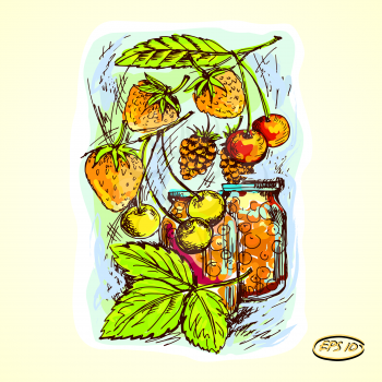 Vector graphic, artistic, stylized  image anning jars with jam, compote. Figure cherries, cherries, strawberries, raspberries.