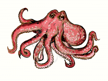 Vector graphic, artistic, stylized image of octopus