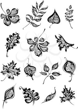 Hand-drawn ornate leaves for your design isolated on white background.