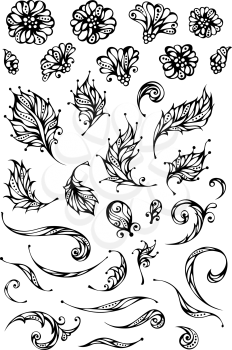Ornate flowers and leaves for your design isolated on white background.