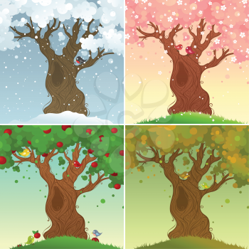 Four days in the life of apple tree. Vector illustration.