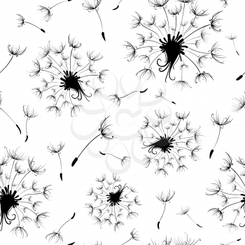 Black and white texture with dandelions. 