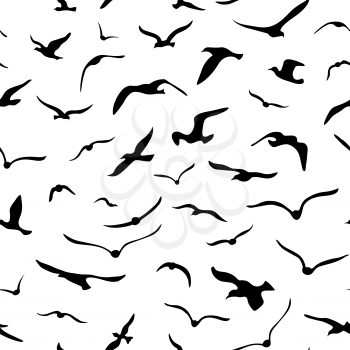 Black and white birds background. 