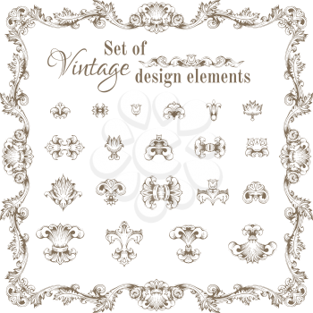 Vector set of hand-drawn vintage floral elements and ornate frame for your design isolated on white background. 