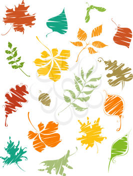 Bright autumn leaves painted by brush. Birch, elm, oak, rowan, maple, chestnut, acorn, aspen isolated on white background.