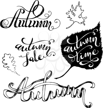 Hand-written words and leaves isolated on white background. Autumn. Autumn Sale. Autumn Time. 