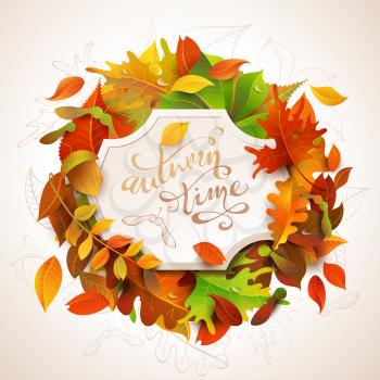 Birch, elm, oak, rowan, maple, chestnut, aspen leaves and acorns. Bright colourful autumn leaves and white paper badge on them. You can place your text in the center.