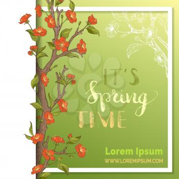 Spring blossoms on branch. White and green background. Hand-written brush lettering. It's spring time. You can place your text in the center.