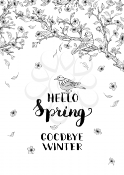 Spring blossoms and birds on tree. Flying flowers and leaves. Hand-written brush lettering. You can place your text in the center. Coloring book for adults template. 