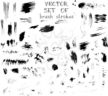 Variuos hand-drawn brush strokes isolated on white background.