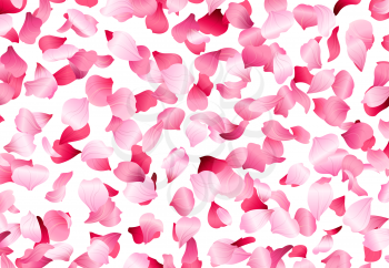 A lot of pink petals on white background. Nature backdrop.