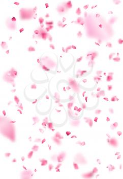 A lot of falling petals on white background. Vector spring template. 