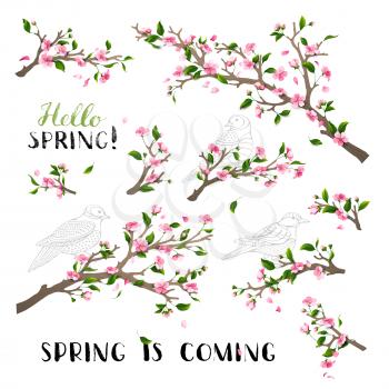Blossoms and leaves on tree branches. Hand-written brush lettering. Bird contours. Hello spring! Spring is coming.