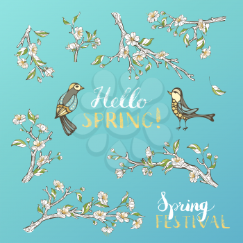 White apple blossoms and leaves on tree branches. Birds and hand-written brush lettering. Hello spring! Spring festival. 