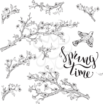 Blossoms, leaves, branches and bird contours. Hand-written brush lettering. Spring time. Coloring book elements template.