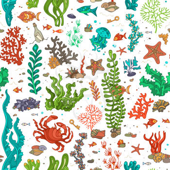 Bright summer vector illustration. Various shell, algae, fish, starfish, bottle with a letter, key on white background. 