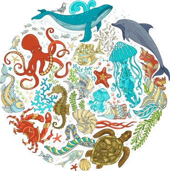 Whale, dolphin, turtle, fish, starfish, crab, shell, jellyfish, octopus, algae. Underwater sea life. Colourful cartoon illustration.