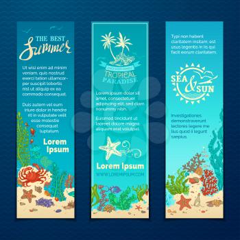 Various fish, starfish, crab, shell, jellyfish, algae, bottle with a letter and key on the bottom. There is place for your text on blue background.