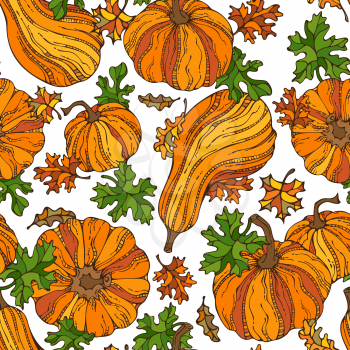 Set of various pumpkins and leaves on white background. Thanksgiving day. Harvest time. Bright boundless background for your design.
