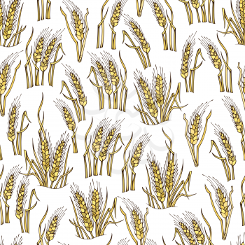 Hand-drawn wheat on white background. Thanksgiving day. Harvest time. Boundless background for your design.