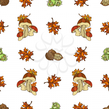 Mushroom, hazelnut, walnut and autumn leaf on white background. Fall time. Boundless background for your design.