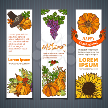 Traditional harvest autumn symbols. Pilgrim hat, pumpkin, corn, grape, sunflower, apple and pear, cranberry autumn leaves and others
