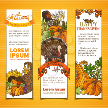 Pilgrim's hat, turkey, cornucopia, pumpkin, corn, sunflower, wheat, apple and pear, acorn, autumn leaves and others. Traditional harvest autumn symbols.