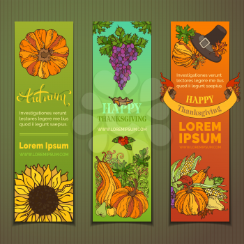 Traditional harvest autumn symbols. Pilgrim's hat, pumpkin, corn, grape, sunflower, apple and pear, cranberry, autumn leaves and others.