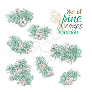 Outlined design elements for invitation, card, banner isolated on white background. Christmas festive nature illustration.