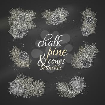 Pine branches with needles and cones on blackboard background. Vector nature illustration. Christmas design elements.