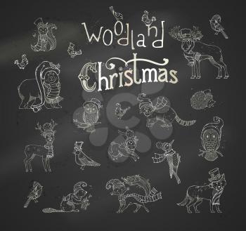 Chalk forest animals dressed in Santa hat and winter scarf on blackboard background. Outlined moose, bear, fox, wolf, deer, owl, hare, squirrel, hedgehog and birds.