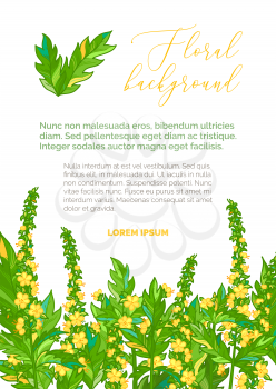 Tiny yellow flowers of agrimony and bright pinnate leaves. Healing herbs on white background. There is copy space for your text on the top.