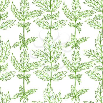 Outline green pinnate leaves on white background. Bright summer boundless background. Tileable design element.