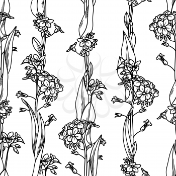 Forget-me-nots boundless background. Black linear tiny flowers and leaves on white background. Tileable design element.