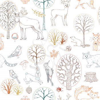 Outline wild animals and birds. Fox, moose, deer, bear, squirrel, beaver, raccoon, woodpecker, hedgehog and others. Trees, leaves, seeds and mushrooms.
