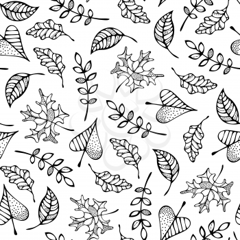 Doodles maple, oak, ash, rowan and linden leaves on white background. Fall boundless background. Tileable elements.