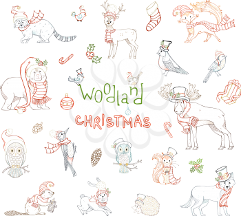 Vector set of forest animals dressed in Santa hat and winter scarf. Coloured contours of moose, bear, fox, wolf, deer, owl, hare, squirrel, raccoon, hedgehog and birds.