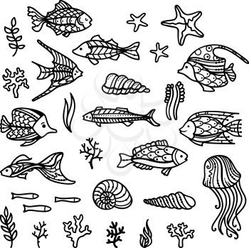 Set of fish, sea plants and algae, shells and sea stars, jellyfish isolated on white background. Can be used in colouring book for adults and children.