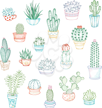 A variety of hand-drawn cacti with prickles, flowers and without. They are in flower pots or cups.