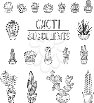 Hand-drawn cactuses and succulents in flower pots and cups with prickles and flowers. Black and white. Can be used to colouring book for adults.