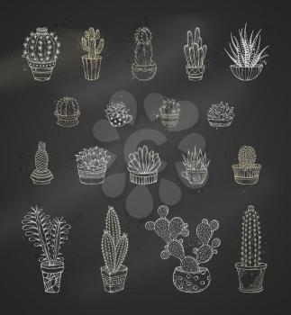 Various cacti with prickles and flowers in flower pots or cups. Hand-drawn icon set.